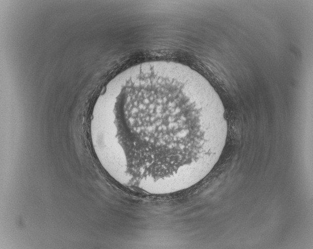 X0000115030817200911161505