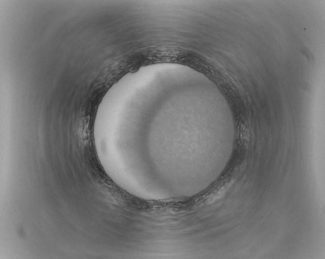 X0000115030818200911161505