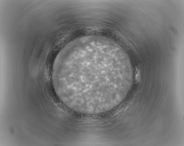 X0000115030819200911161505