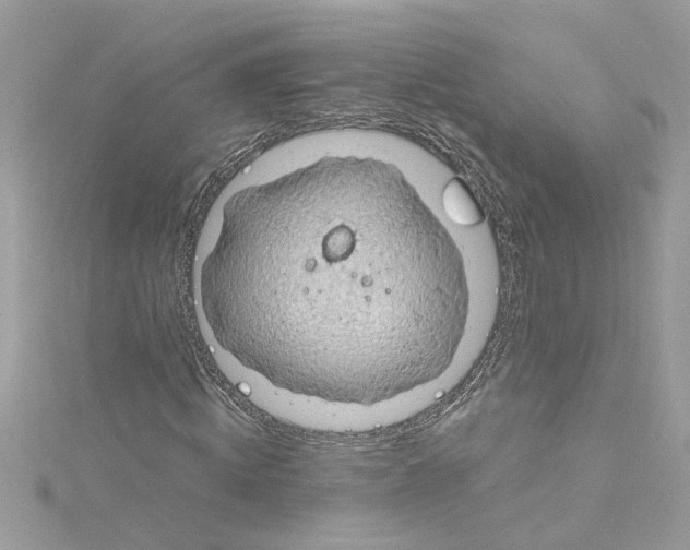 X0000115030820200911161505