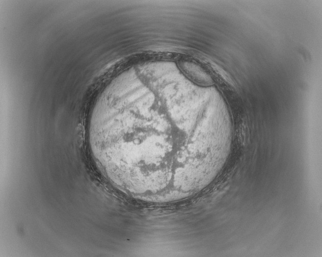 X0000115030821200911161505