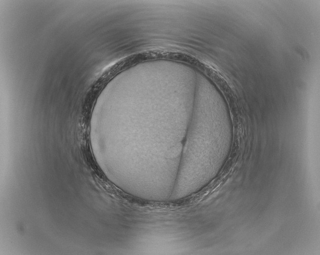 X0000115030822200911161505