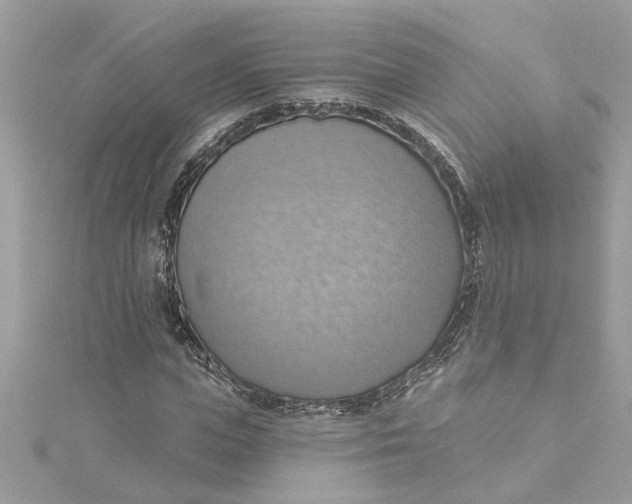 X0000115030823200911161505