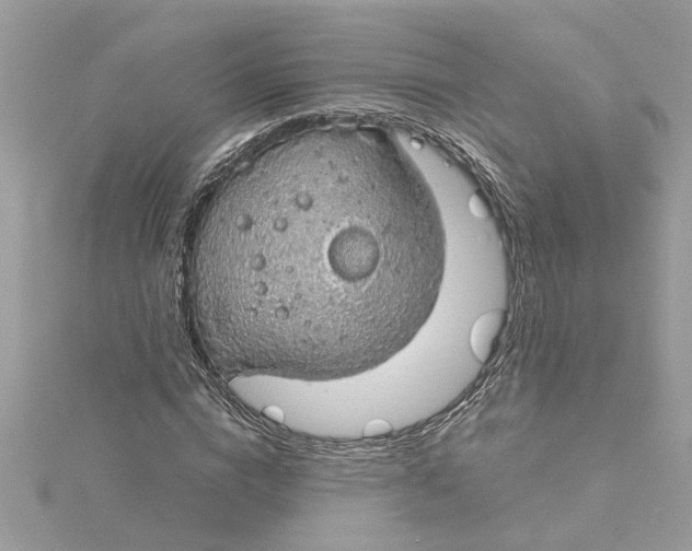 X0000115030824200911161505