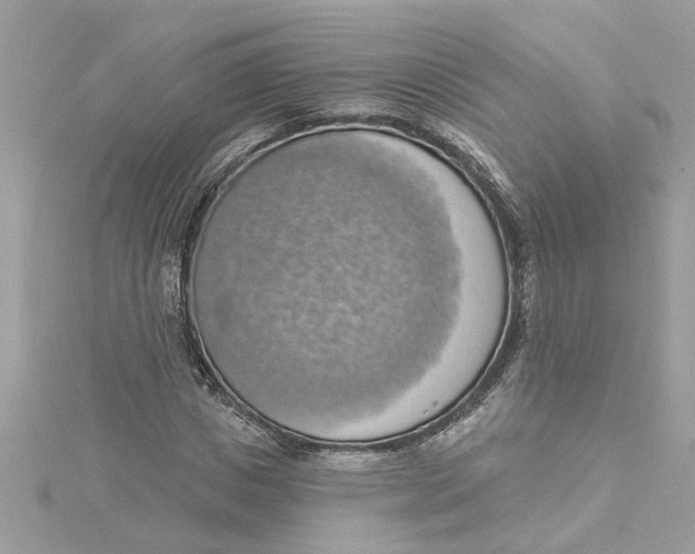 X0000115030825200911161505