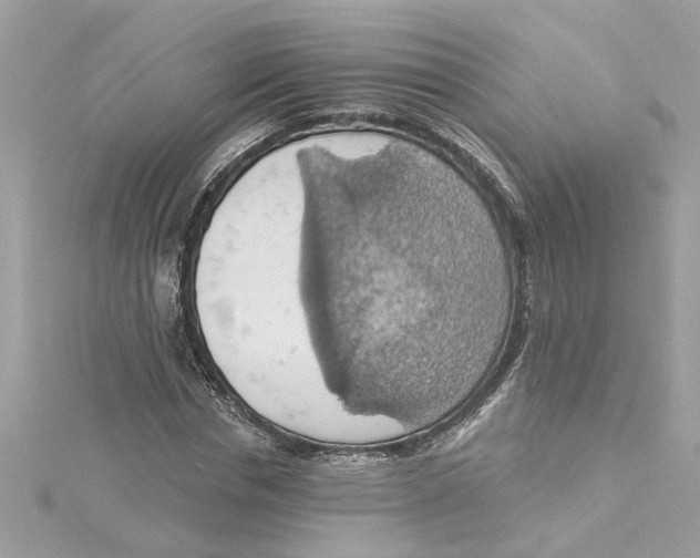 X0000115030826200911161505