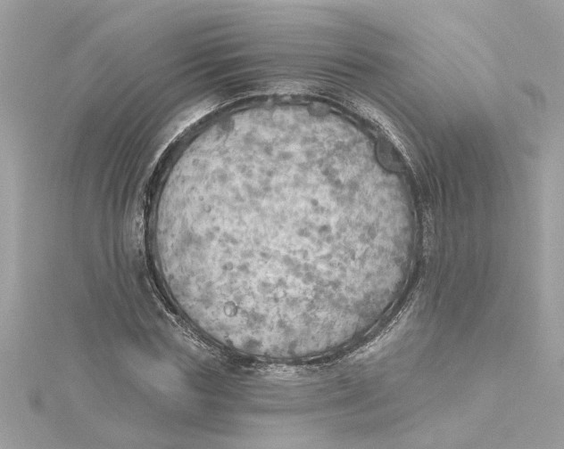 X0000115030827200911161505