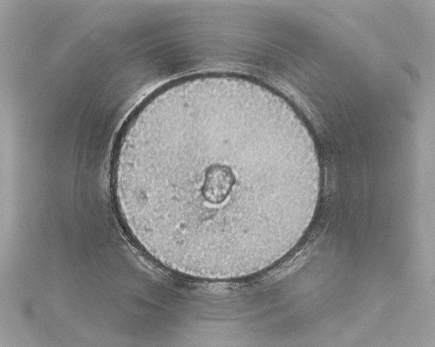 X0000115030828200911161505