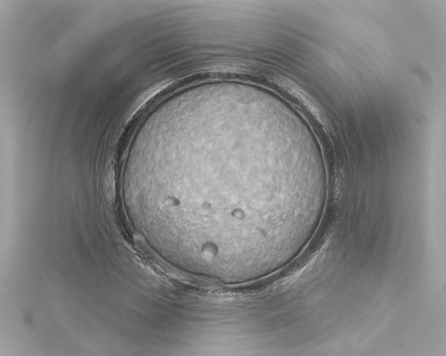 X0000115030829200911161505