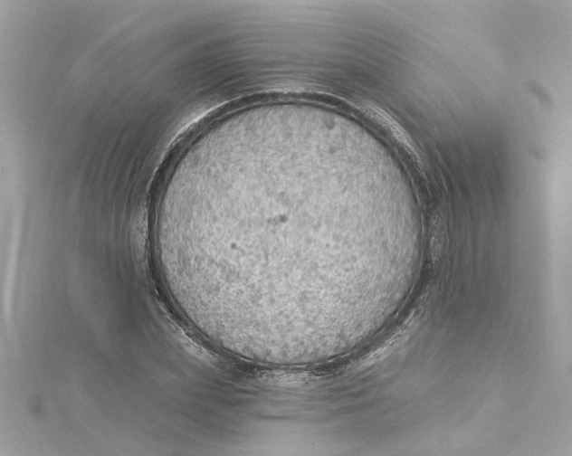 X0000115030831200911161505