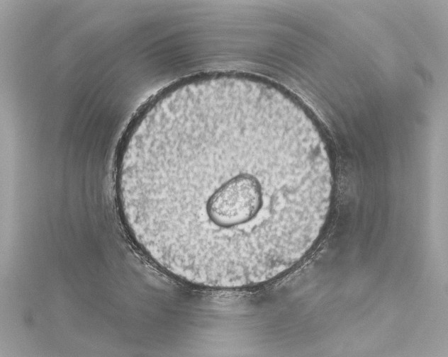 X0000115030832200911161505