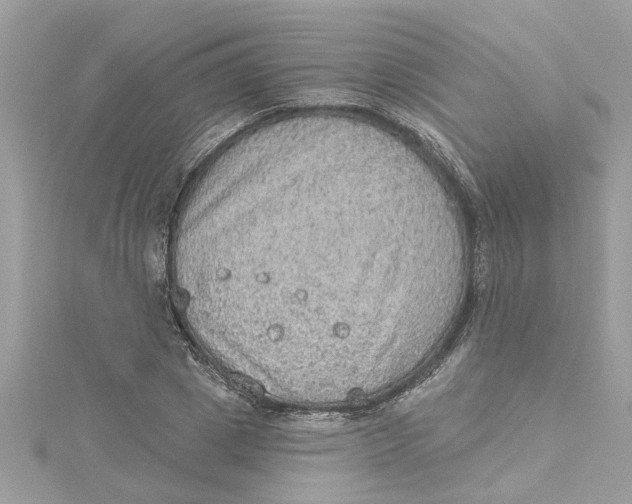 X0000115030833200911161505