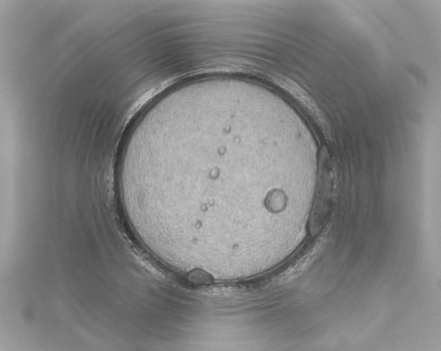 X0000115030834200911161505