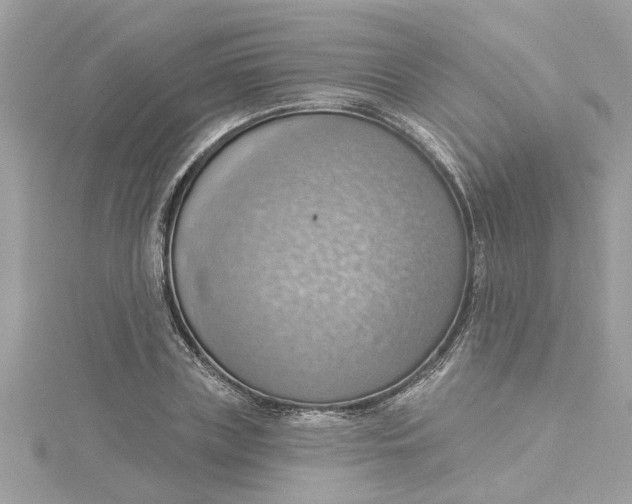 X0000115030835200911161505