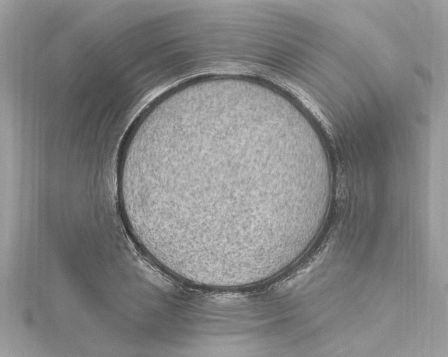 X0000115030837200911161505