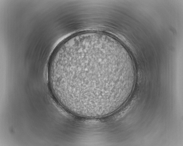 X0000115030838200911161505