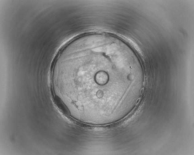 X0000115030839200911161505