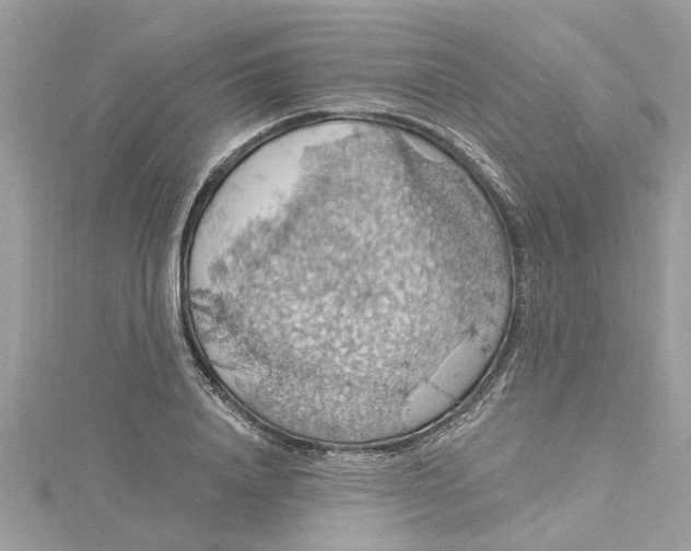 X0000115030840200911161505