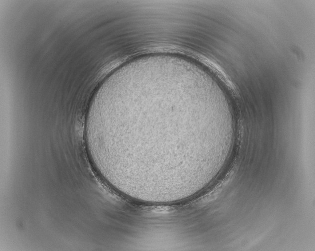 X0000115030841200911161505