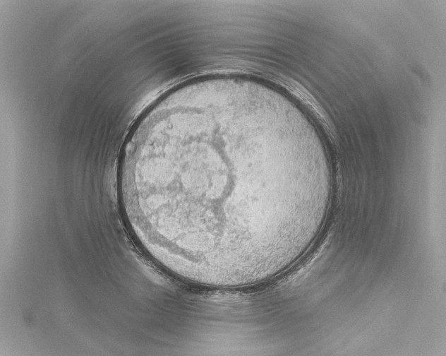 X0000115030842200911161505