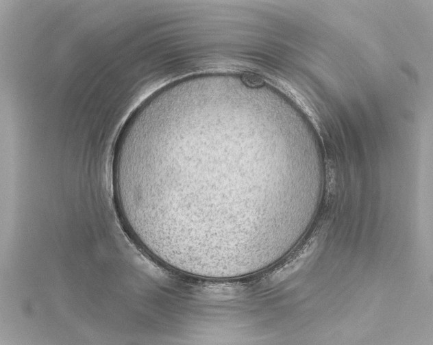 X0000115030843200911161505