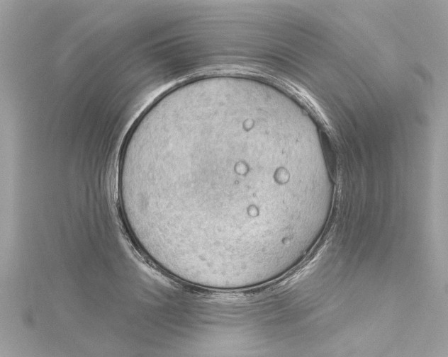 X0000115030844200911161505