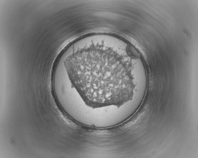 X0000115030845200911161505