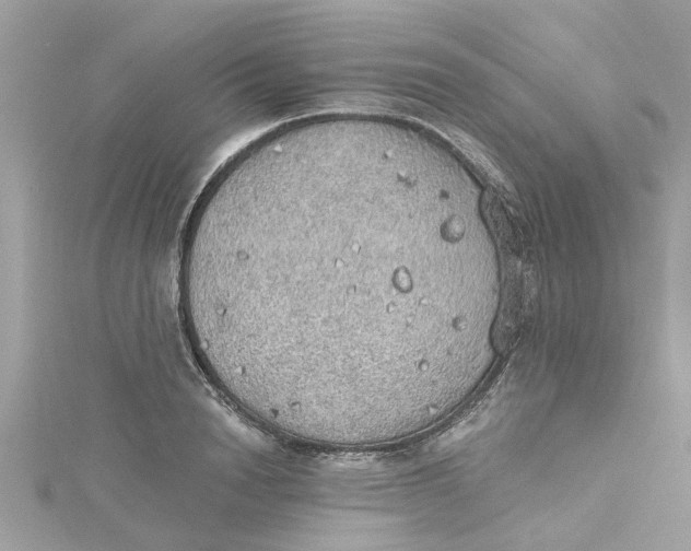 X0000115030846200911161505