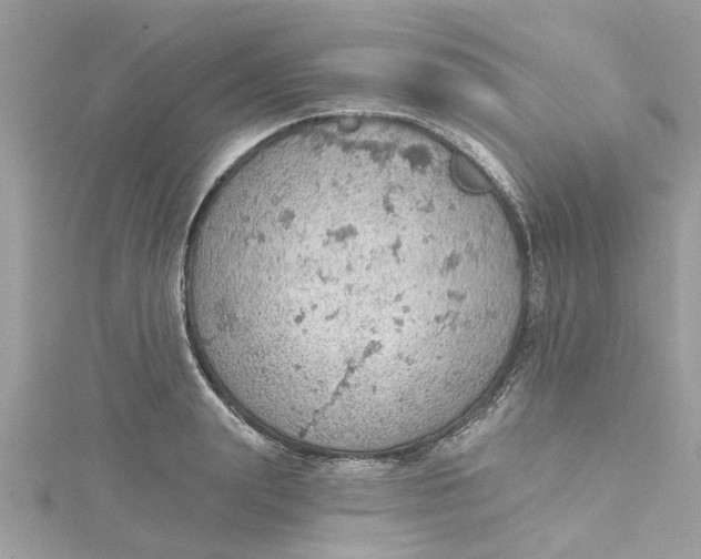 X0000115030847200911161505