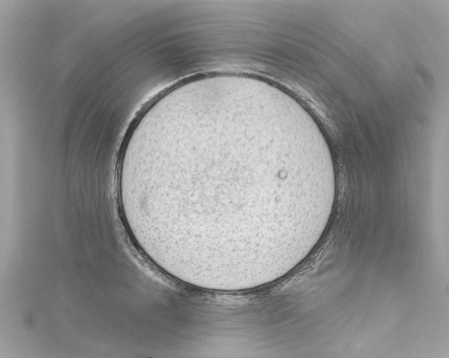 X0000115030848200911161505