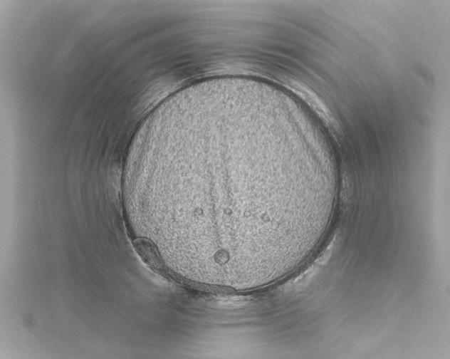 X0000115030849200911161505