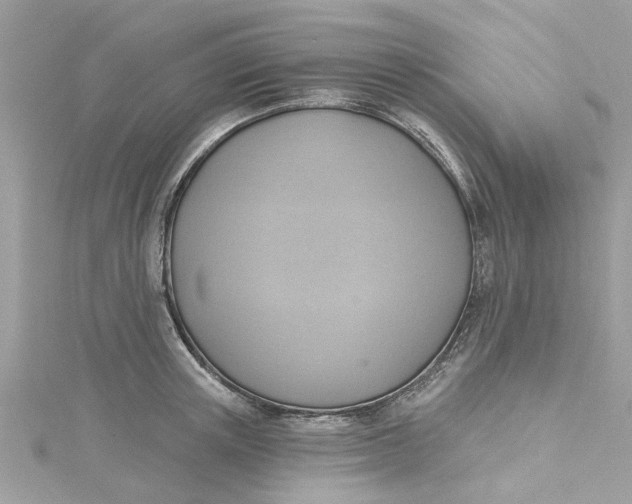 X0000115030851200911161505