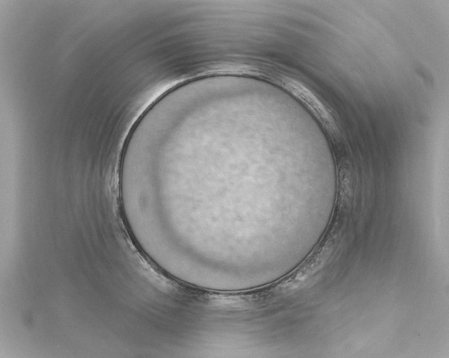 X0000115030852200911161505