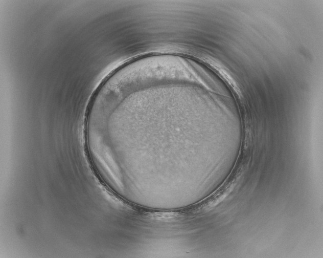 X0000115030853200911161505