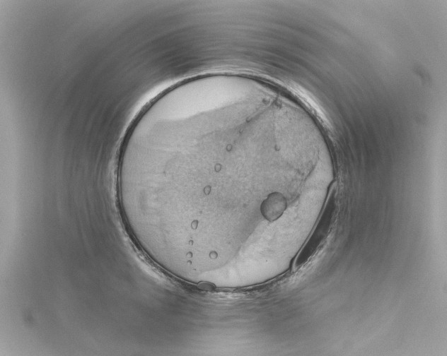 X0000115030854200911161505