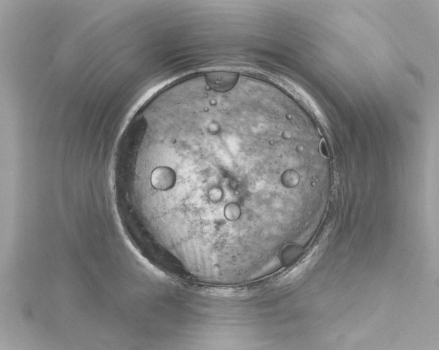 X0000115030855200911161505