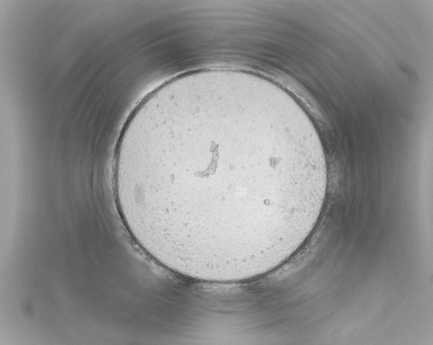 X0000115030856200911161505