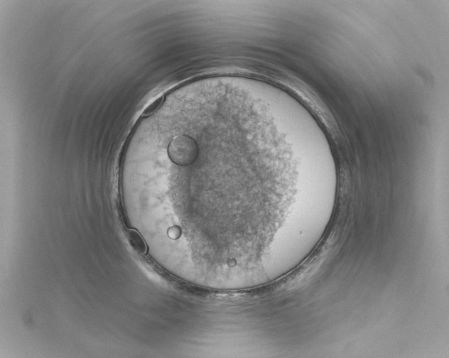 X0000115030858200911161505