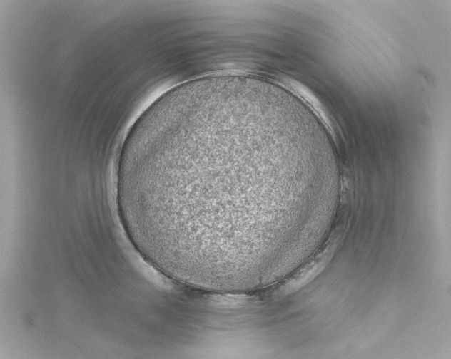 X0000115030859200911161505