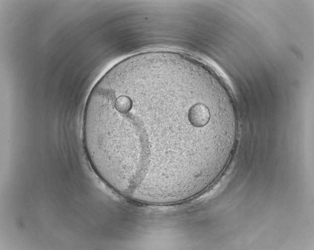 X0000115030860200911161505