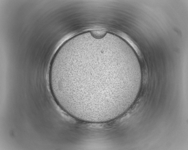 X0000115030861200911161505