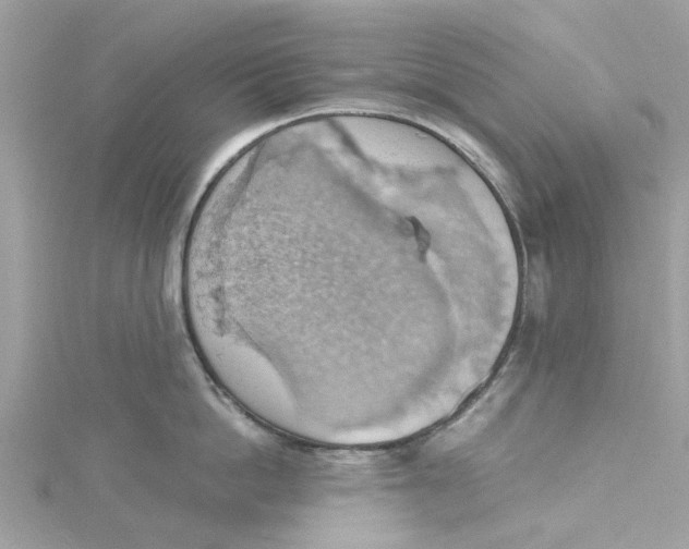 X0000115030862200911161505