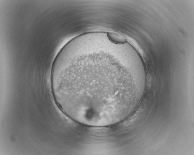 X0000115030863200911161505