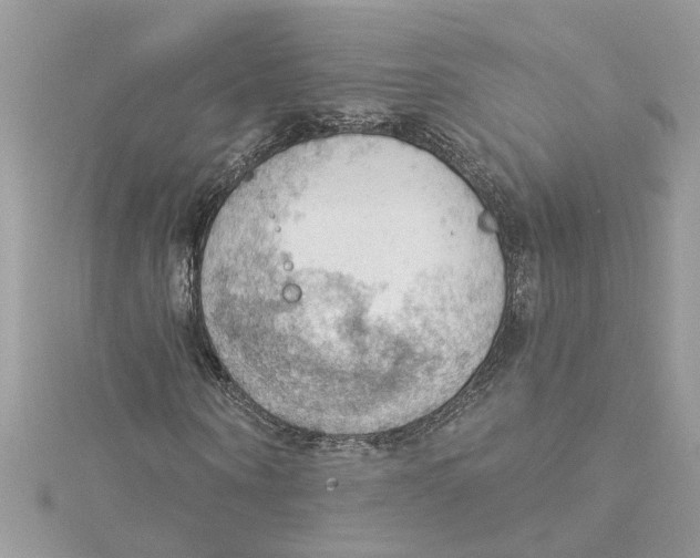 X0000115030866200911161505