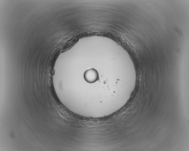 X0000115030868200911161505