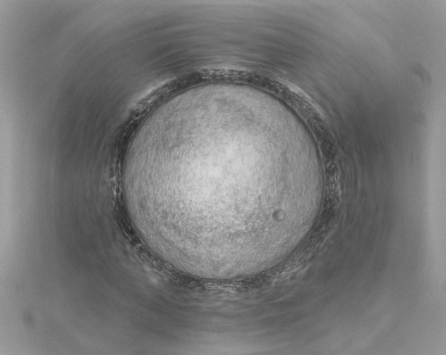 X0000115030870200911161505