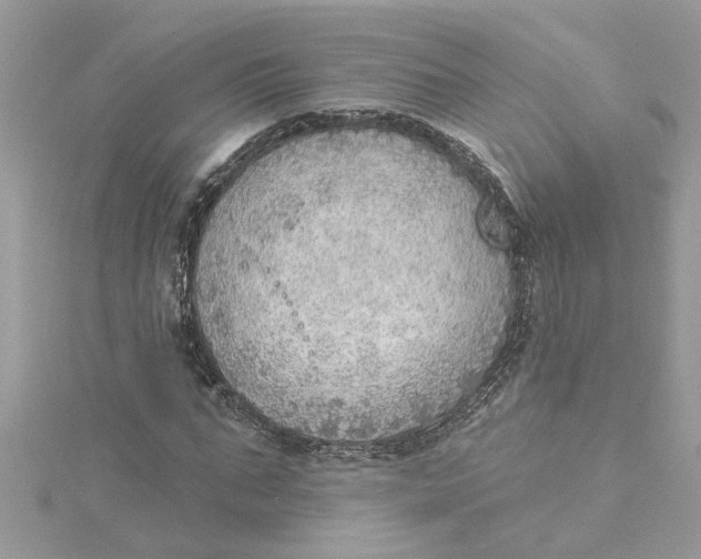 X0000115030871200911161505