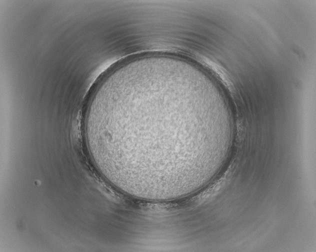 X0000115030875200911161505