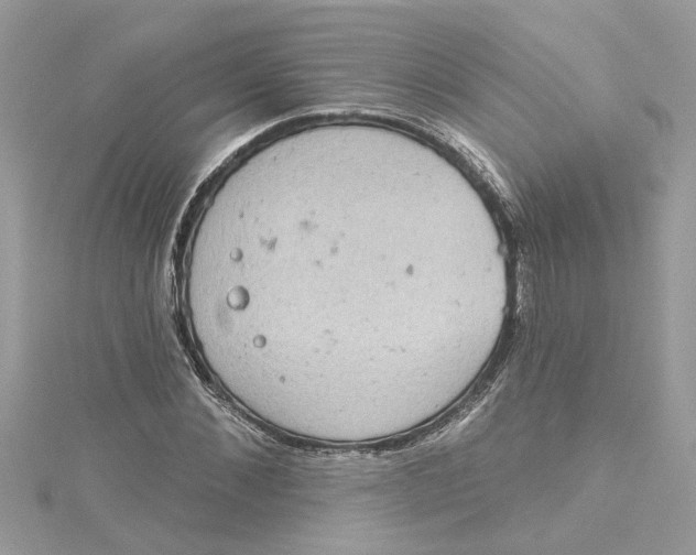 X0000115030876200911161505