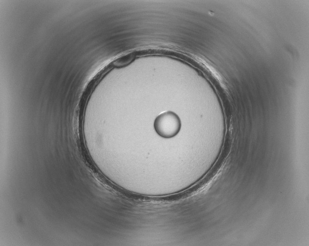 X0000115030877200911161505